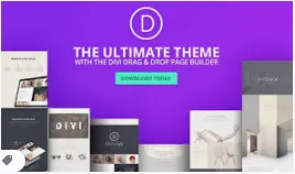 Divi Bundle | Multi-Purpose WordPress Theme with Page Builder | With license (No GPL / Nulled)